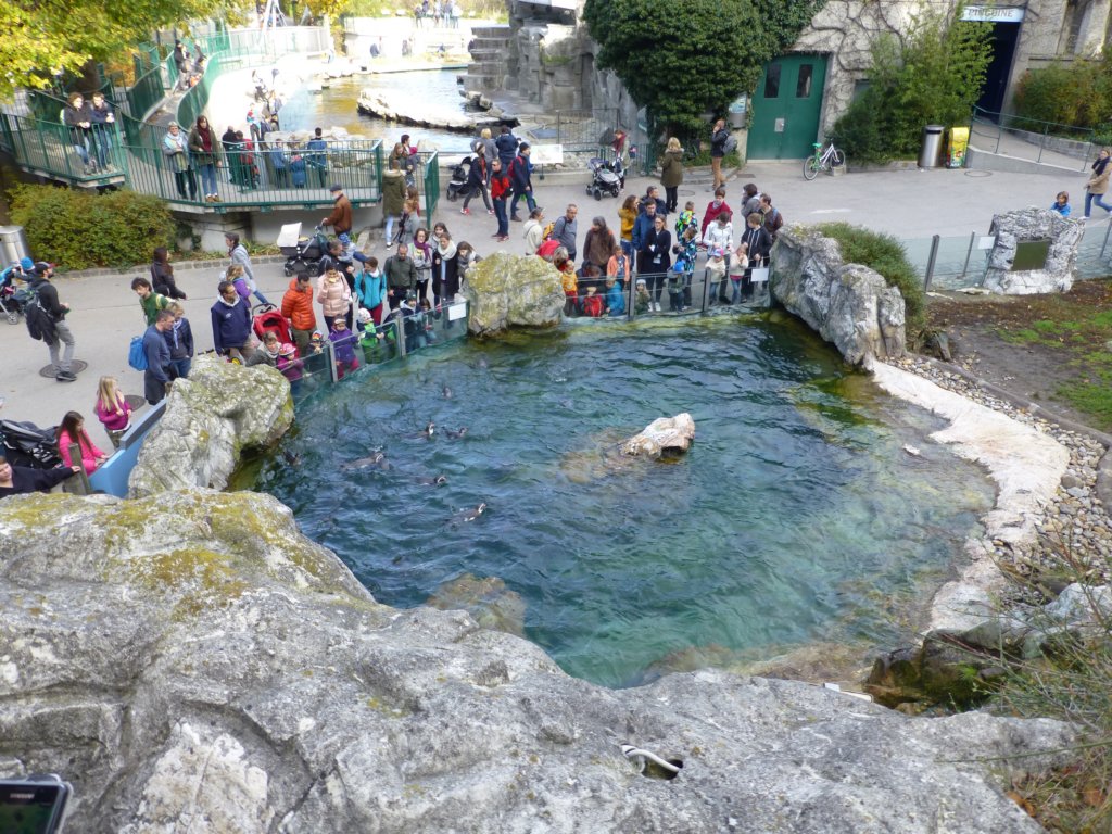 photo49.jpg