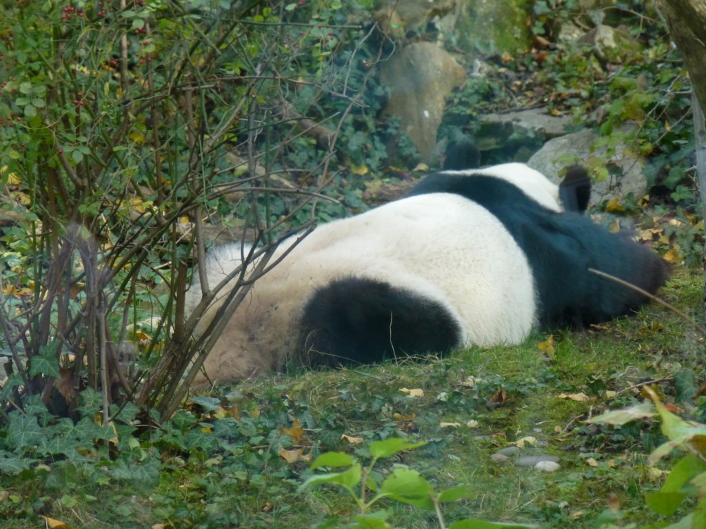 photo5.jpg