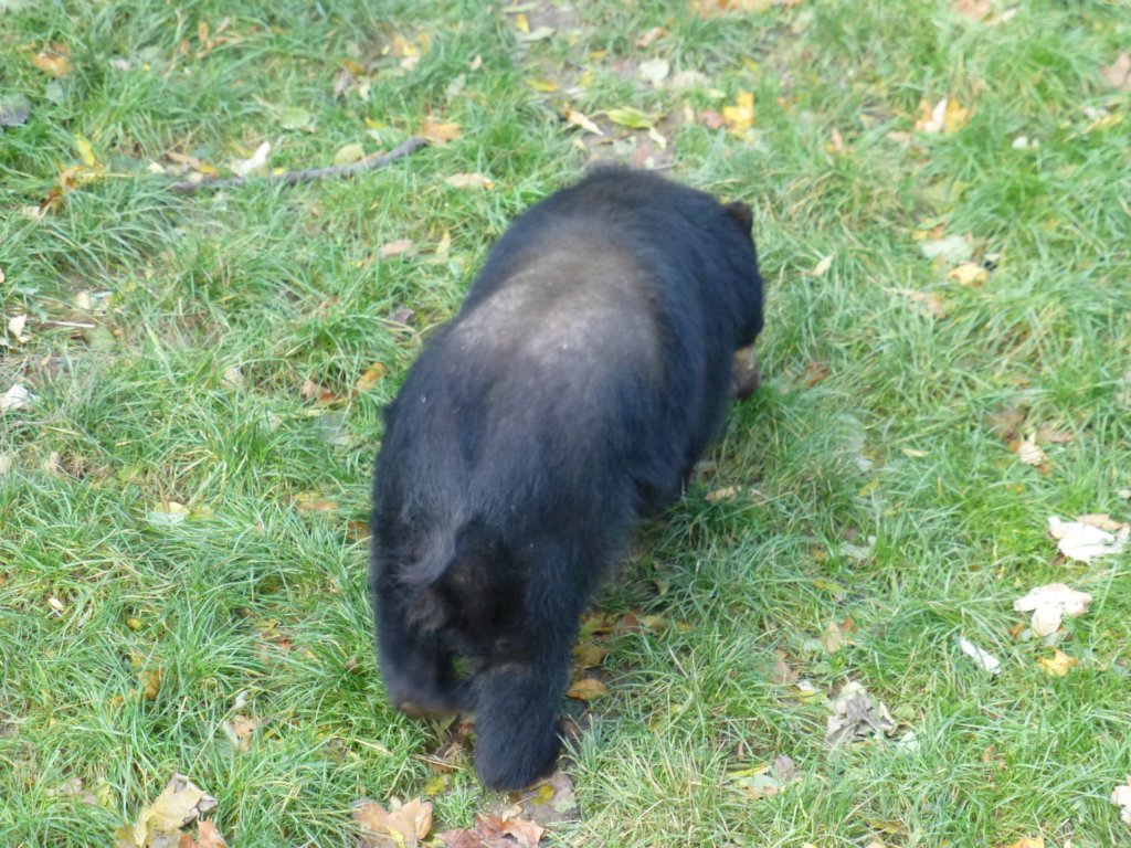 photo61.jpg