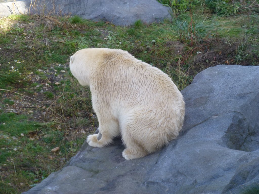 photo62.jpg