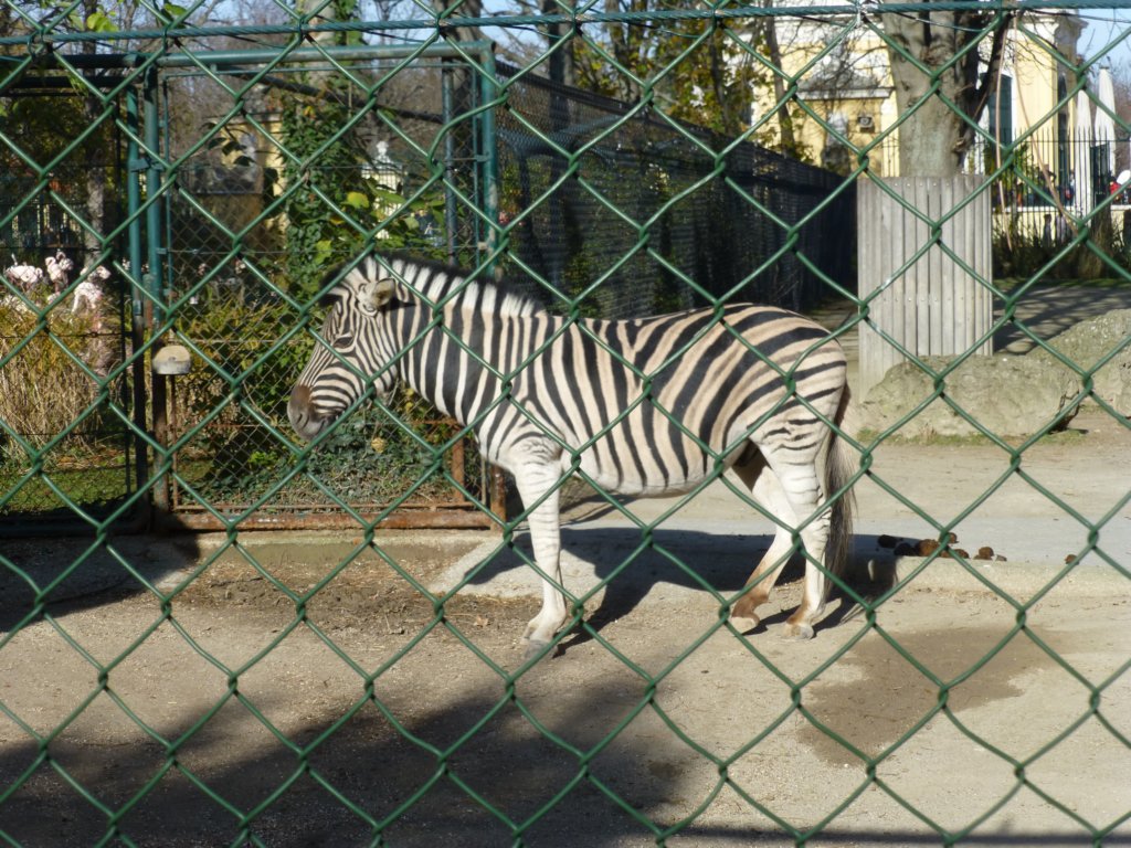photo81.jpg