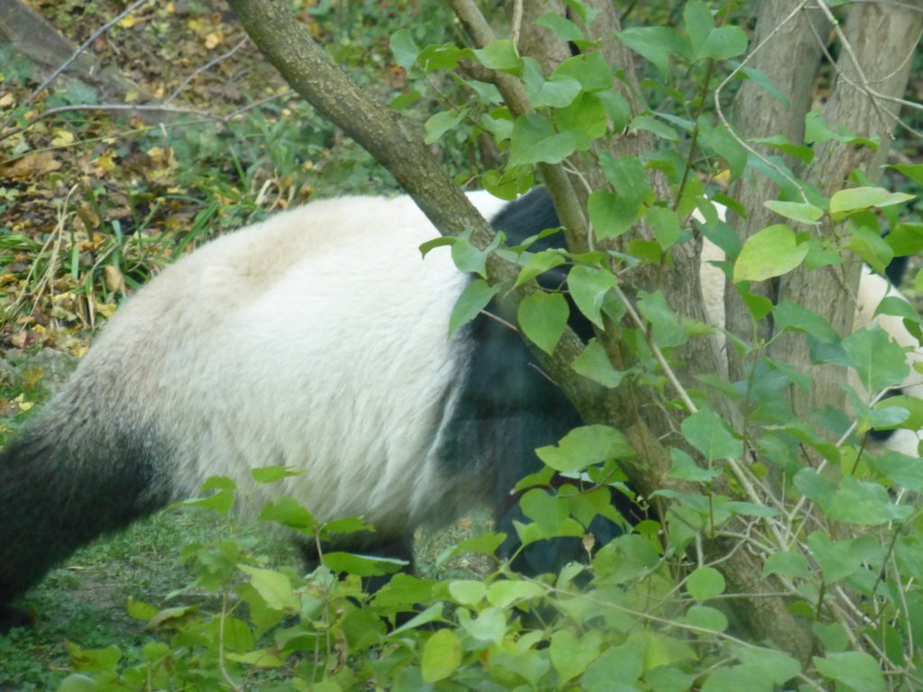 photo9.jpg