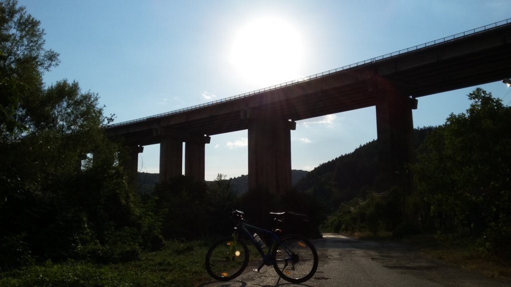 photo10.jpg