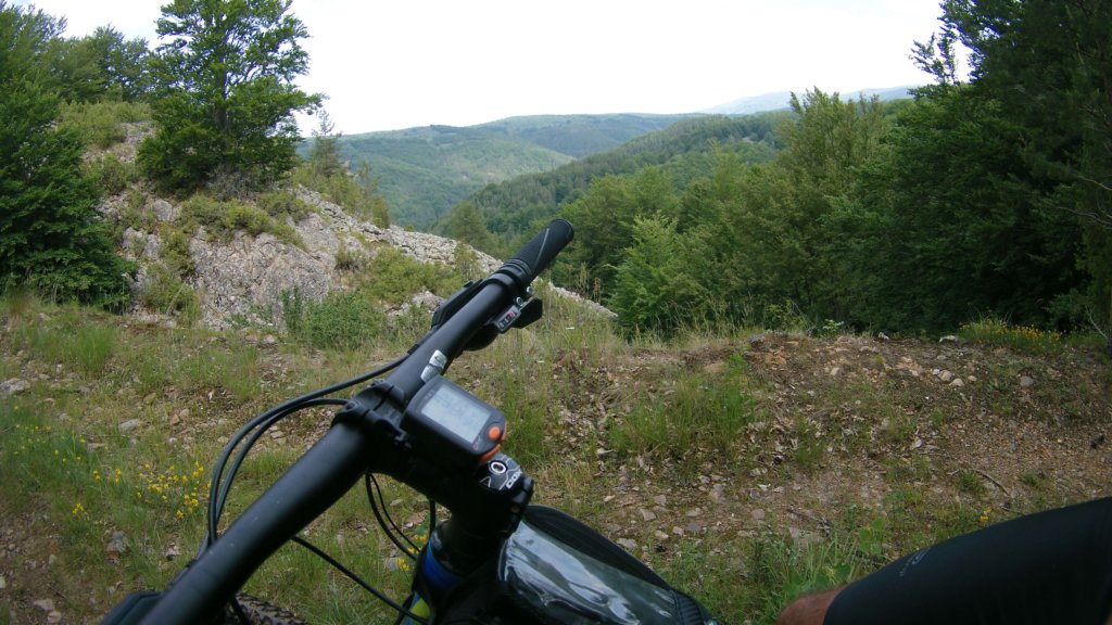 photo19.jpg