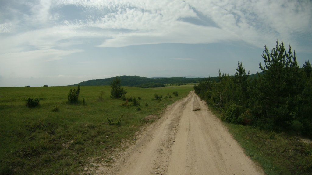 photo22.jpg