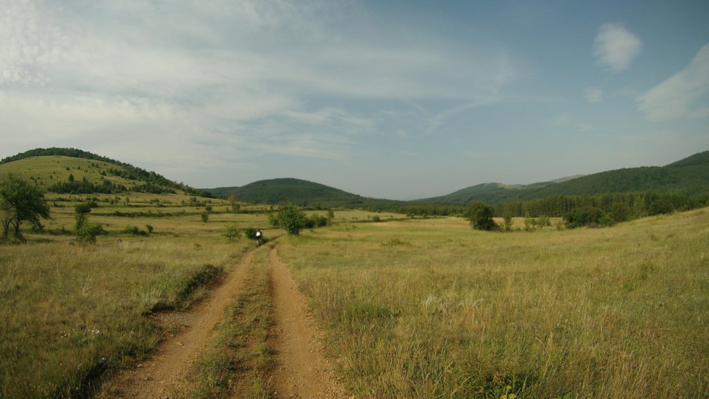 photo8.jpg