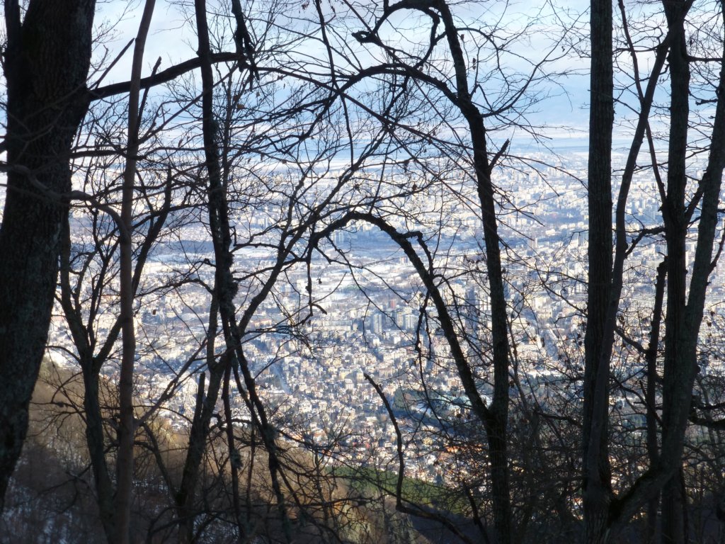 photo17.jpg