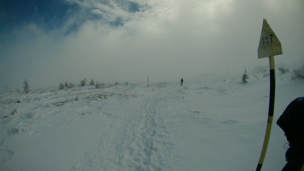 photo34.jpg