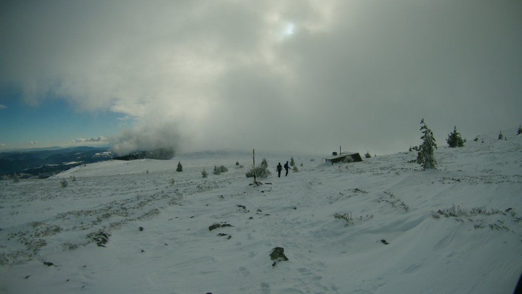 photo44.jpg