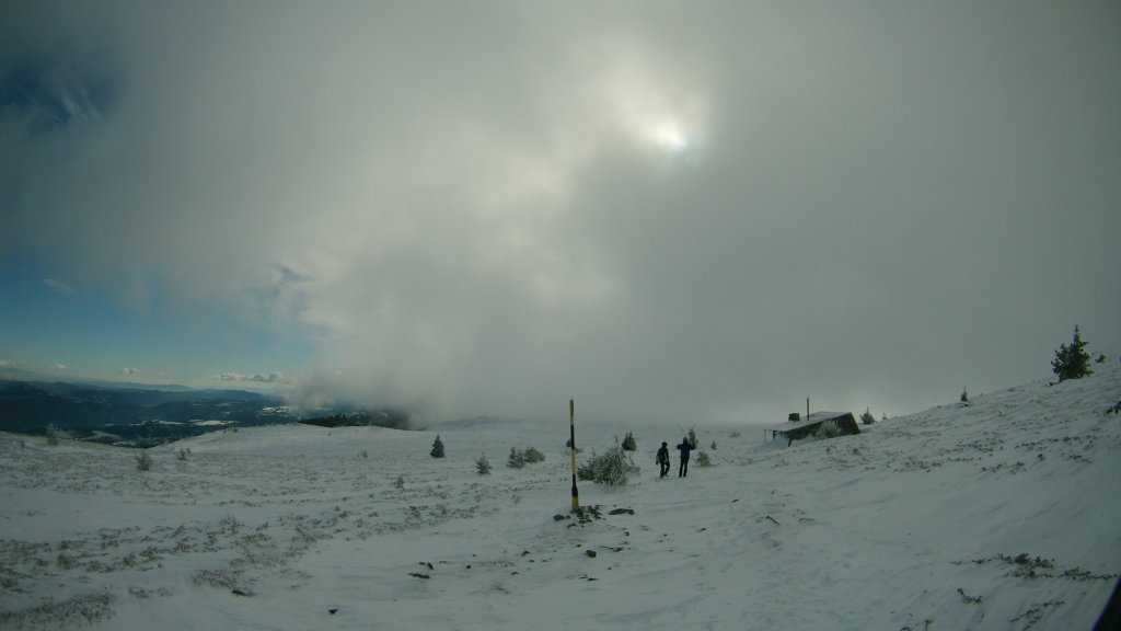 photo46.jpg