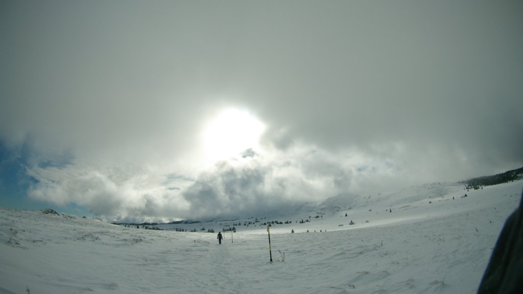 photo49.jpg