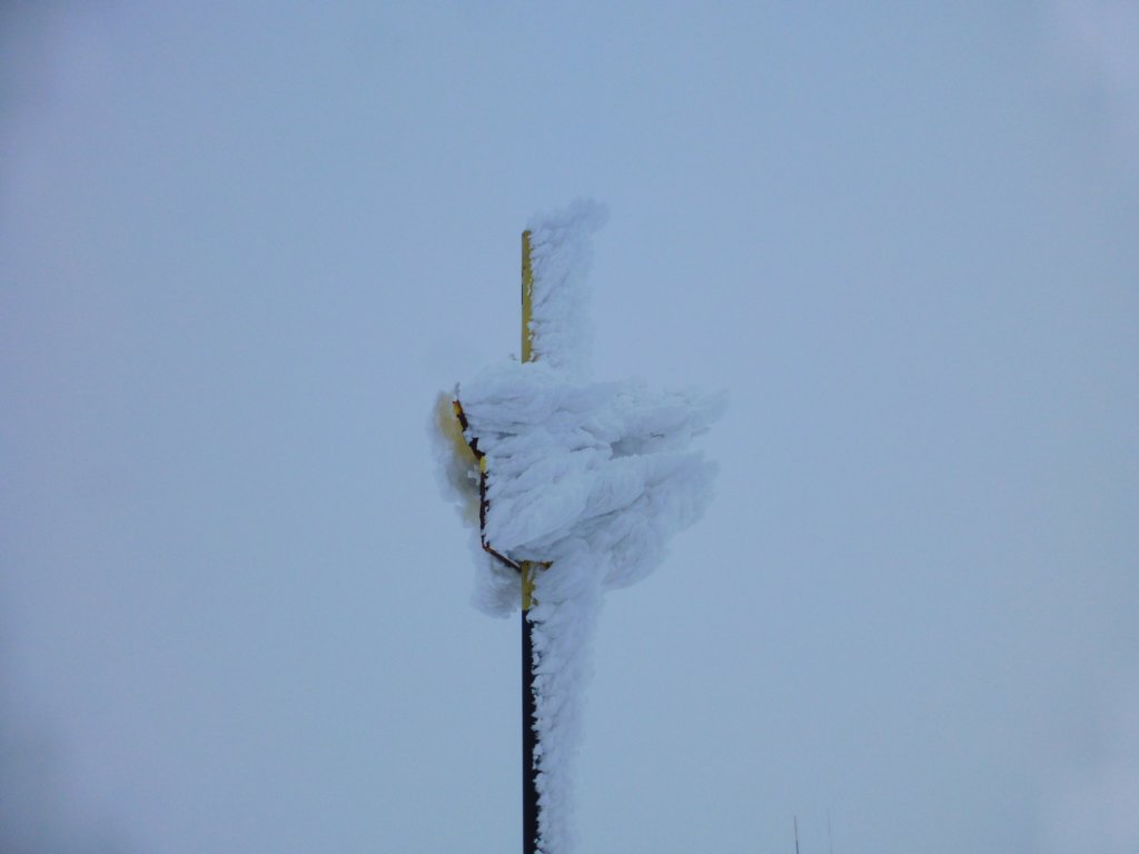 photo73.jpg