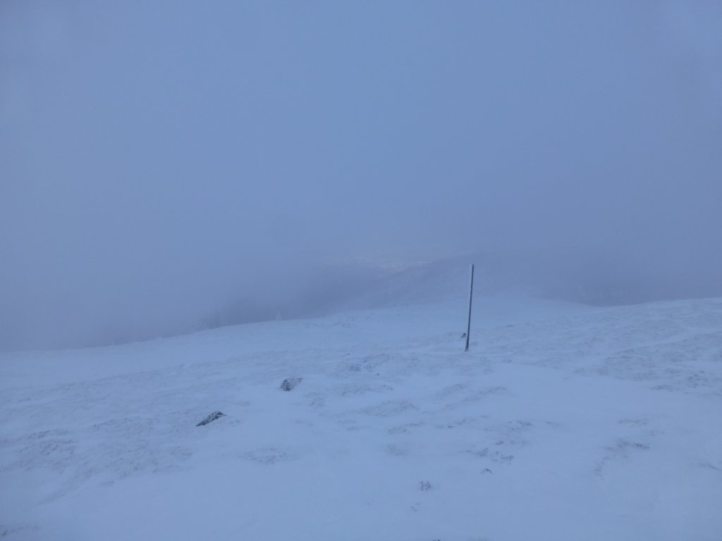 photo77.jpg