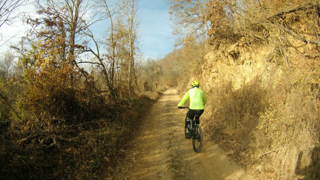 photo3.jpg