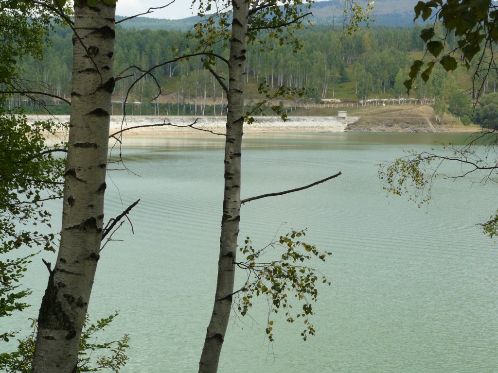 photo4.jpg