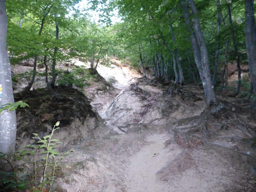 photo13.jpg