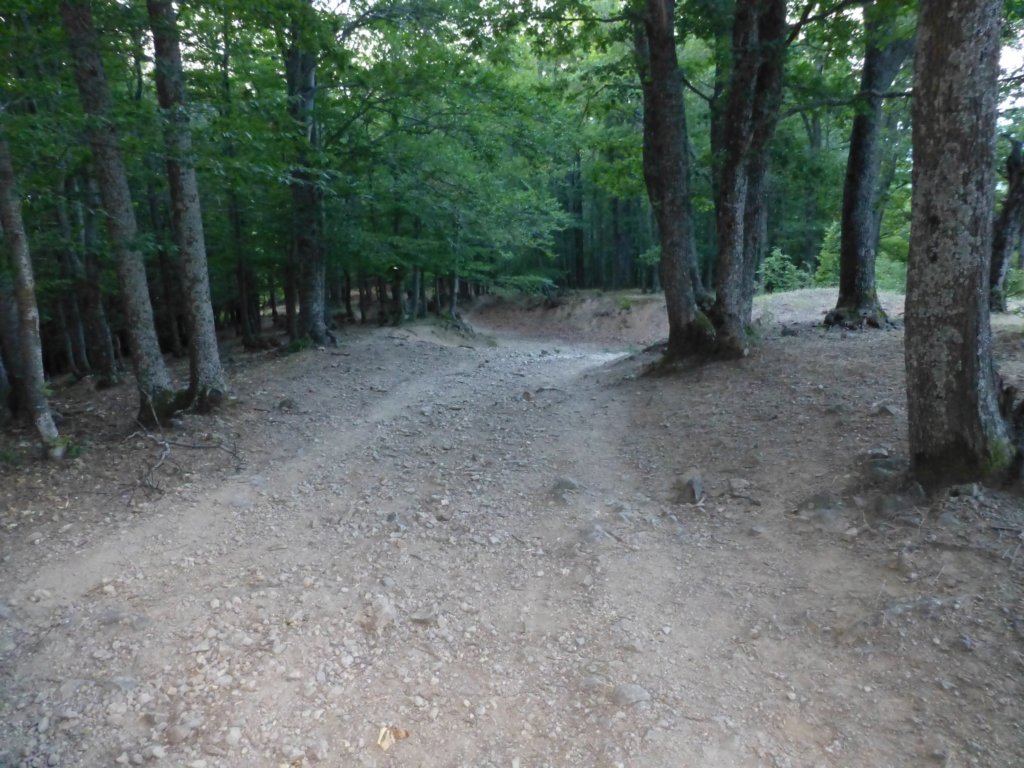 photo19.jpg
