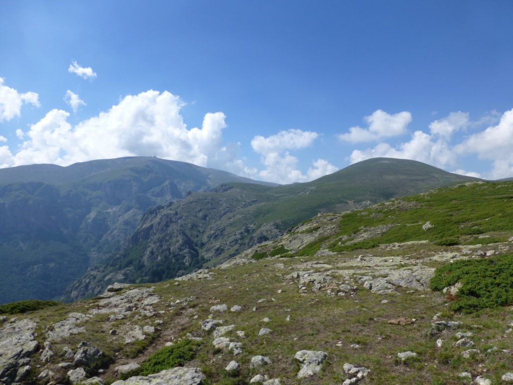 photo201.jpg