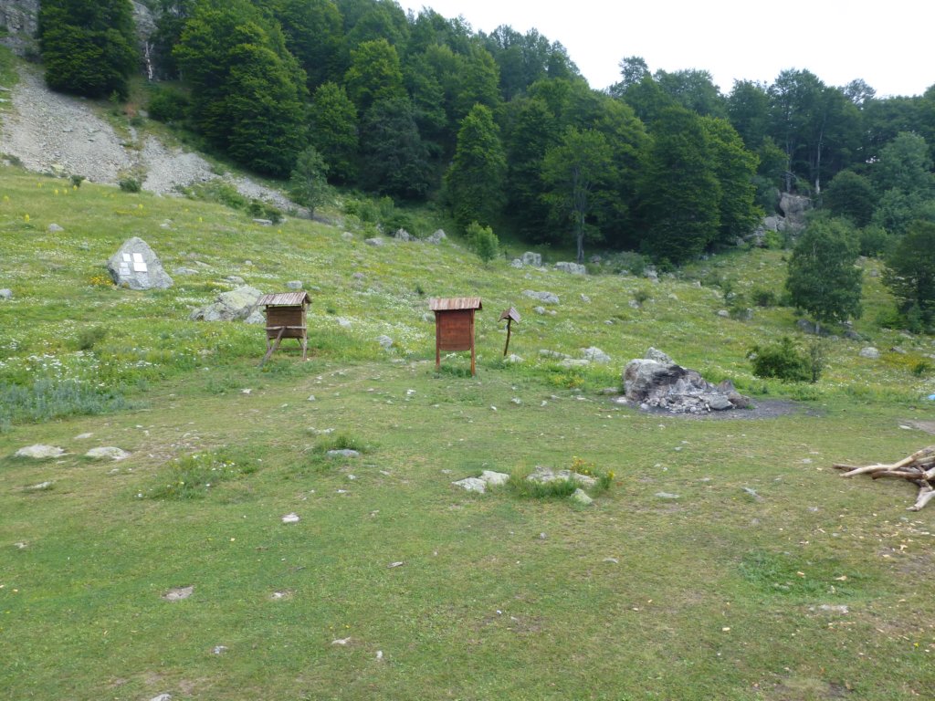 photo63.jpg