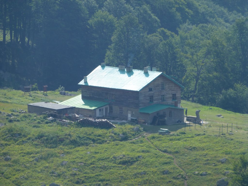 photo80.jpg