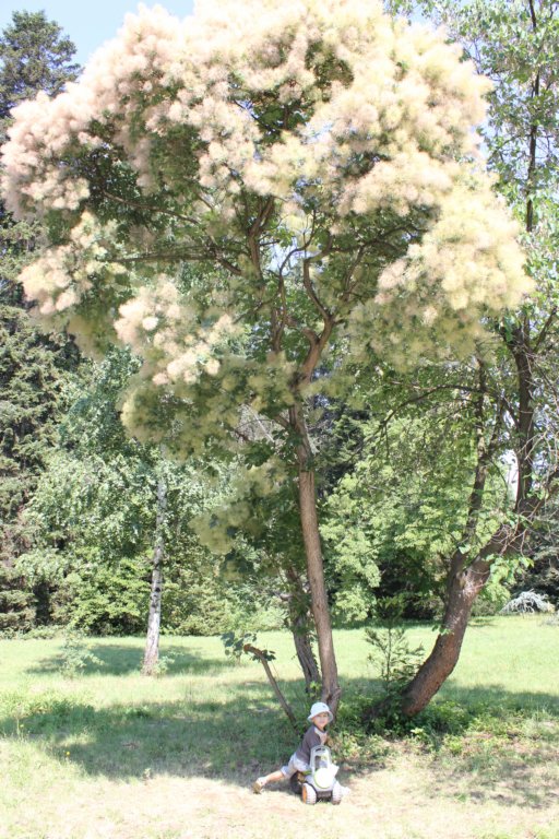 photo24.jpg