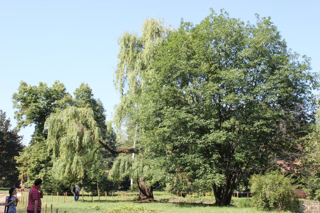 photo7.jpg