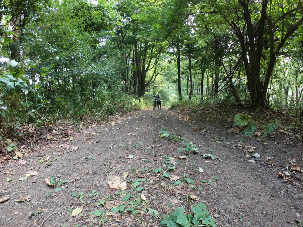 photo17.jpg