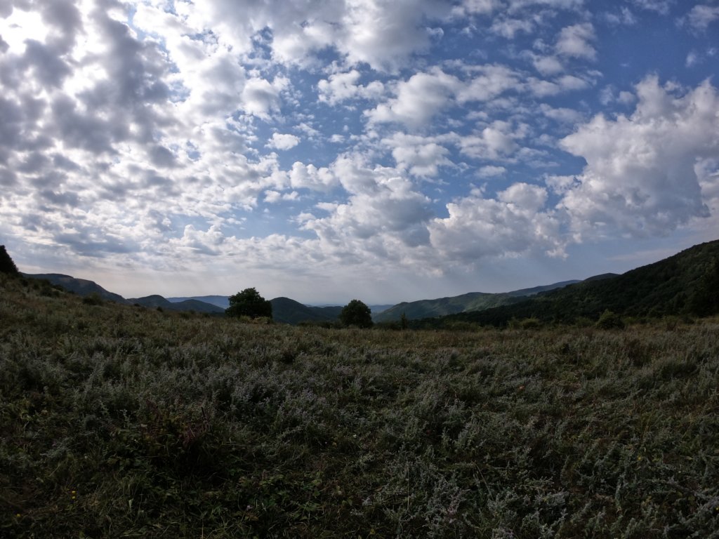 photo25.jpg