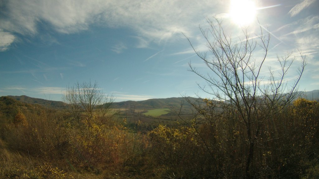 photo39.jpg