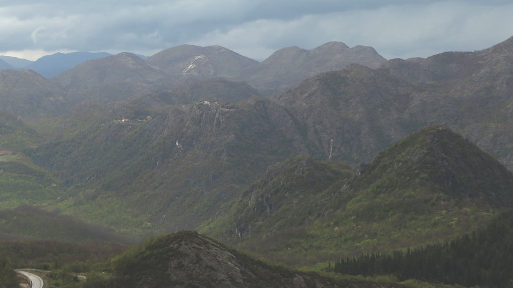 photo17.jpg