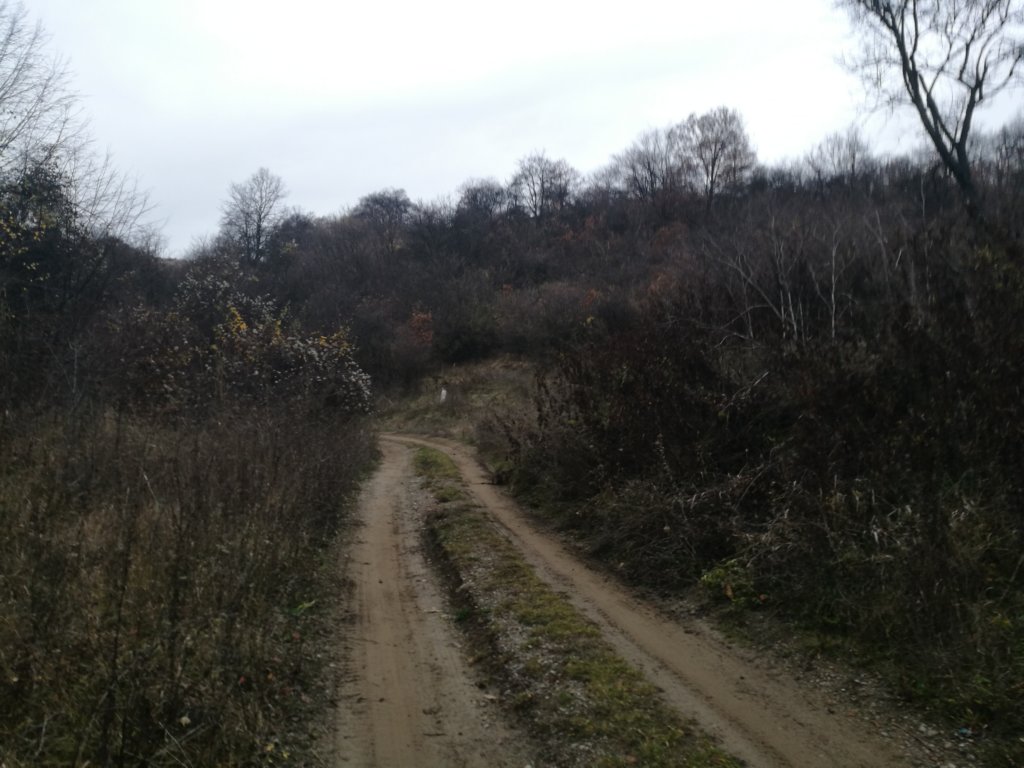 photo18.jpg