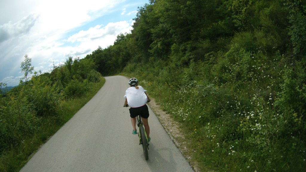photo23.jpg
