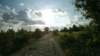 photo4_small.jpg