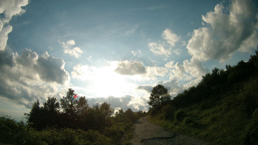 photo6.jpg