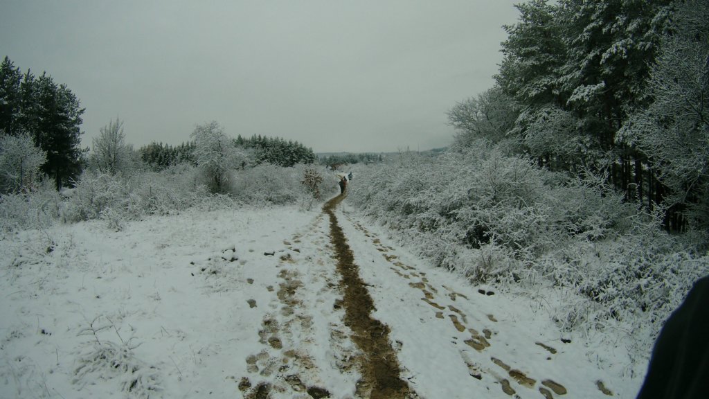photo10.jpg