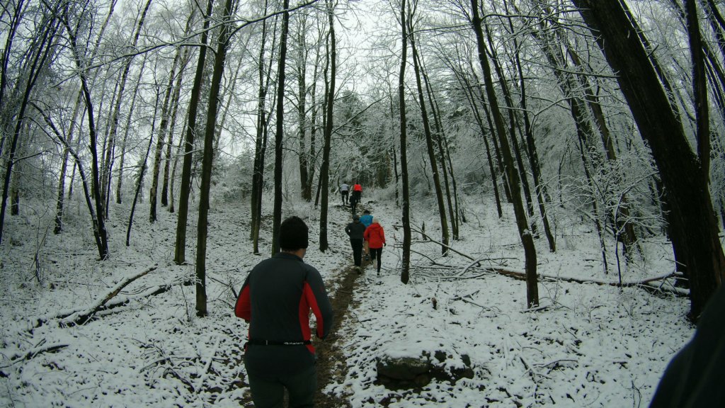 photo8.jpg