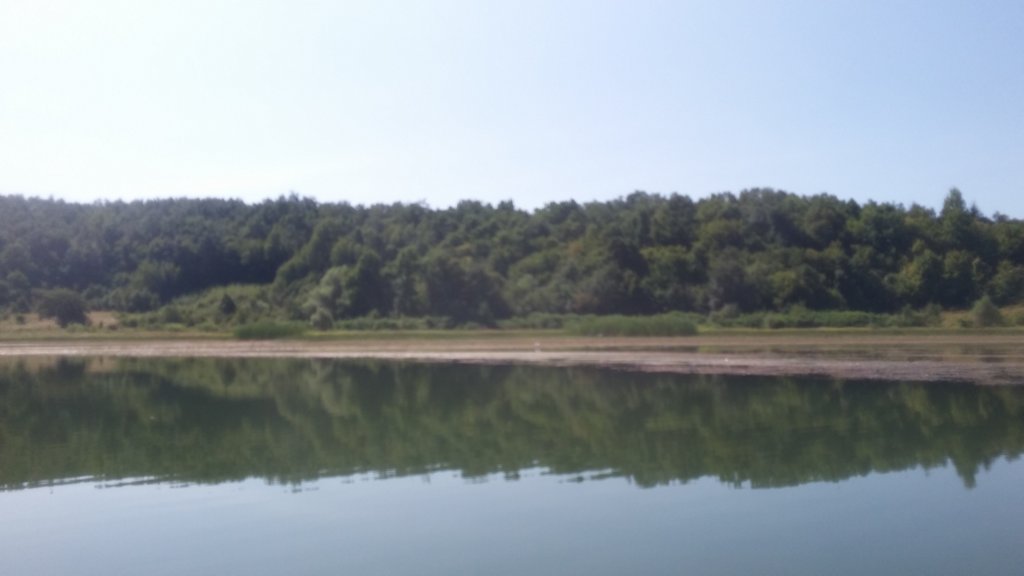 photo15.jpg