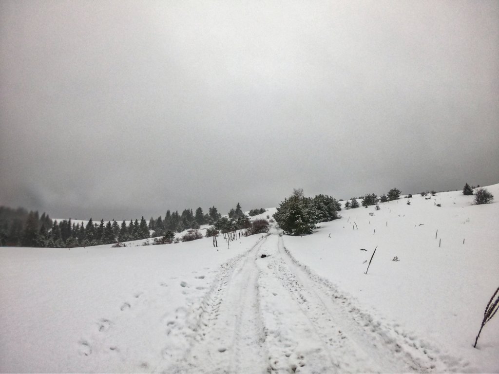 photo11.jpg