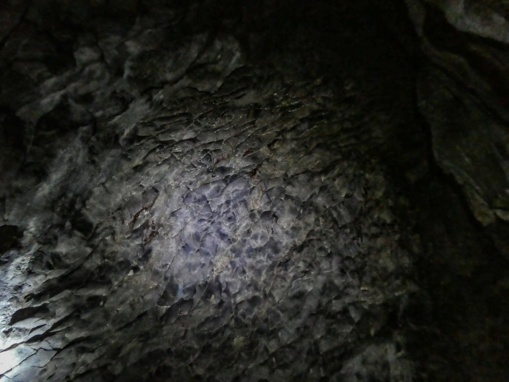 photo37.jpg