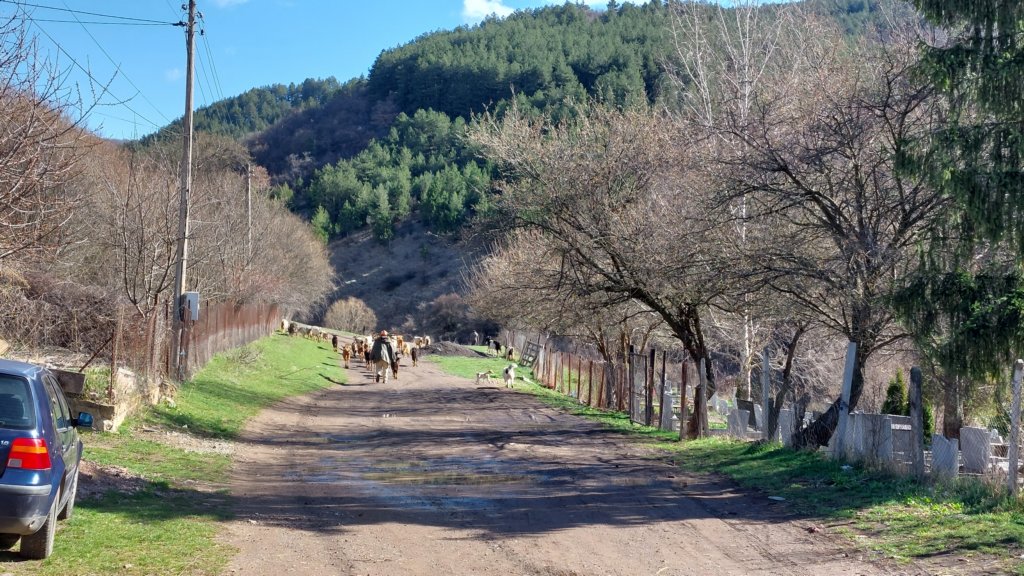 photo2.jpg