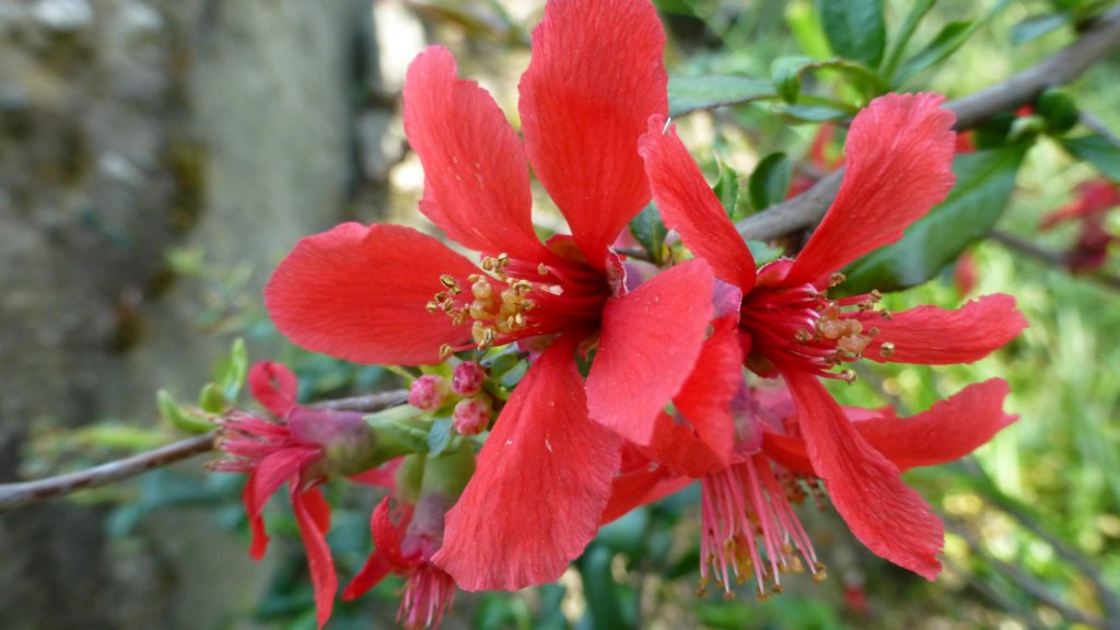 photo13.jpg
