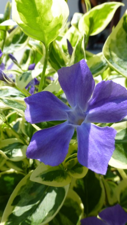 photo15.jpg