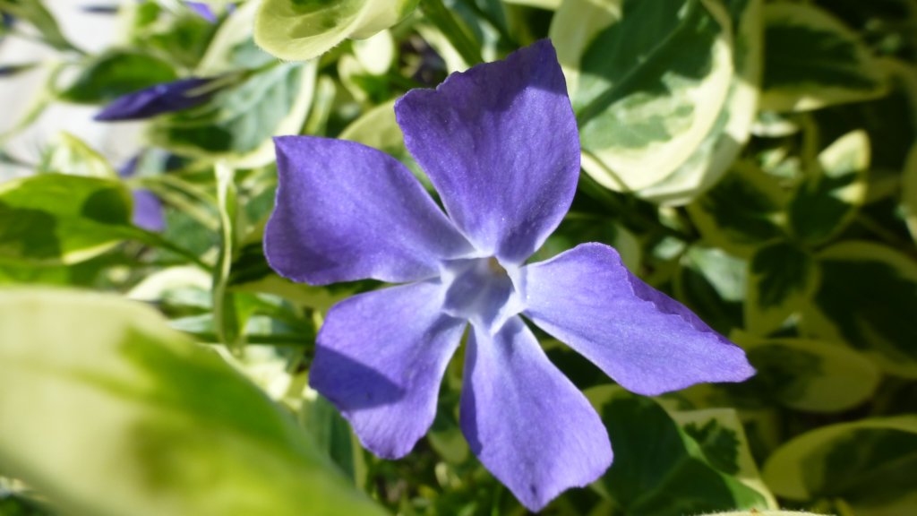 photo17.jpg