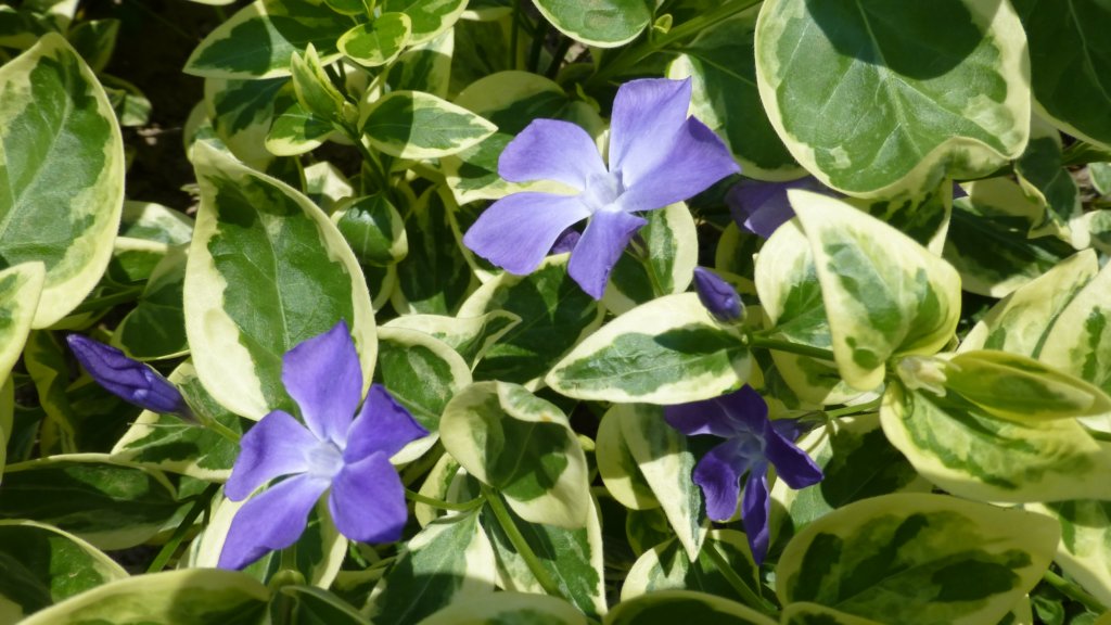 photo18.jpg