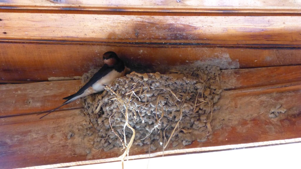 photo25.jpg
