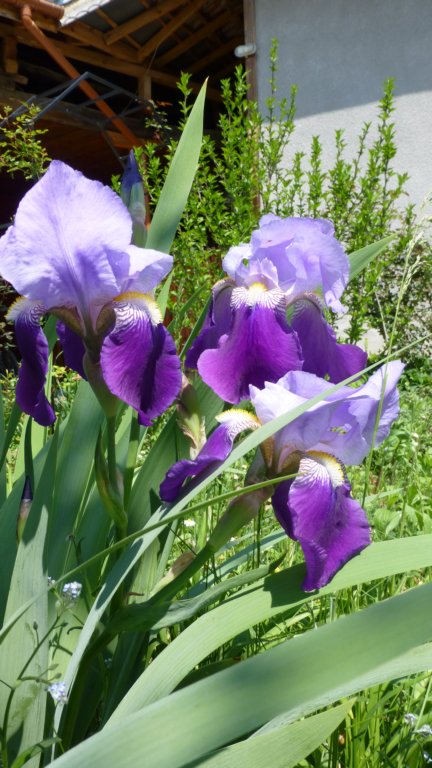 photo4.jpg