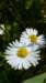 photo9_small.jpg