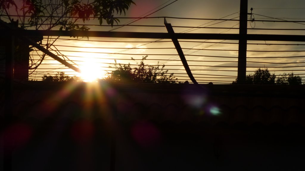 photo6.jpg