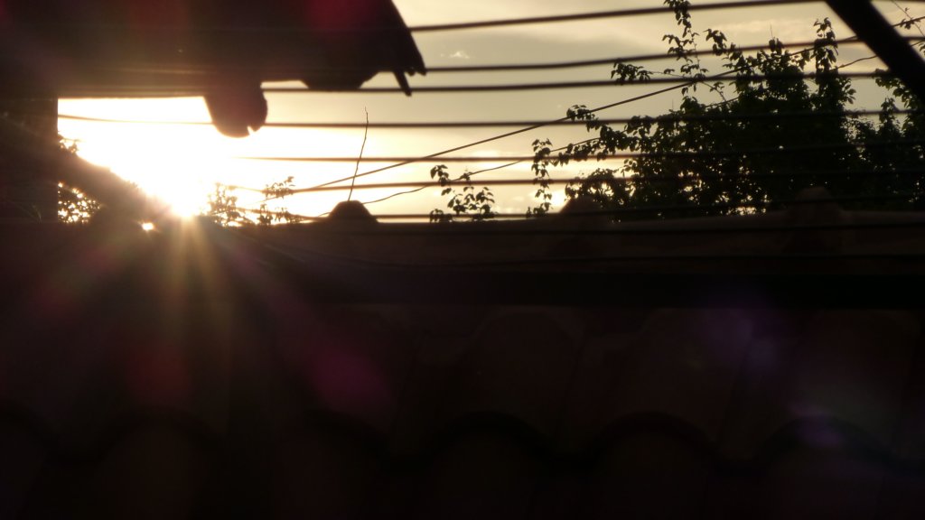 photo8.jpg