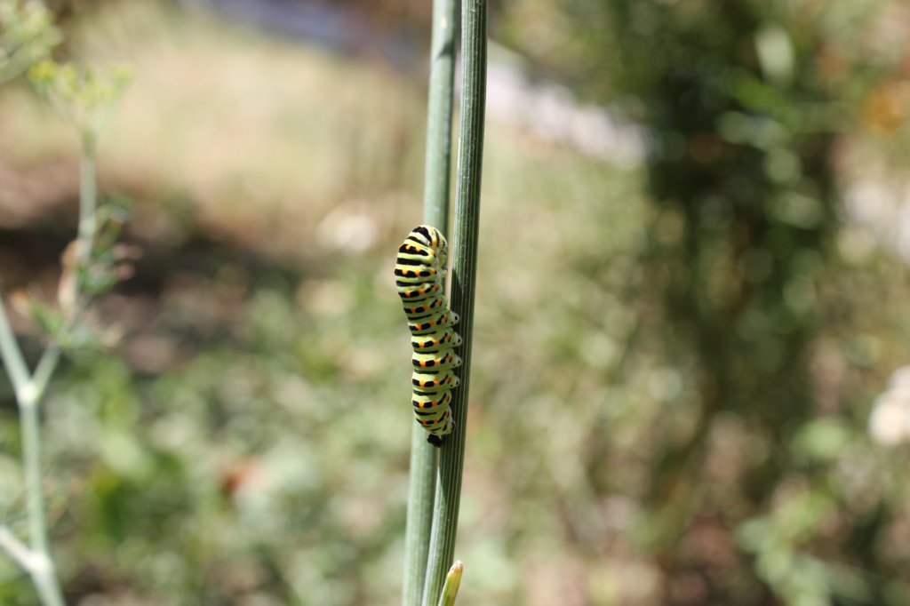 photo13.jpg